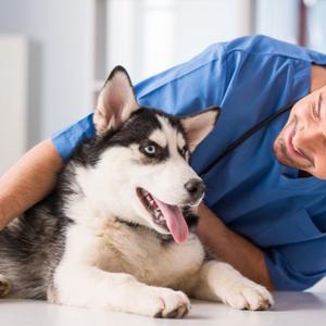 ZM-lancement prix mérite 2026